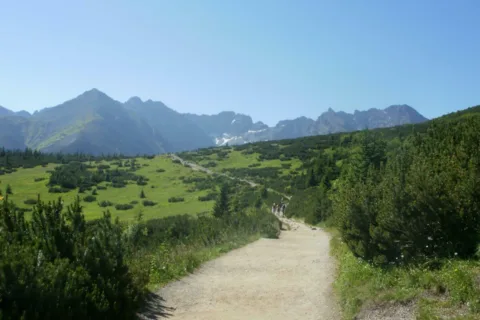 Widok z Królowej Równi na Tatry Wysokie