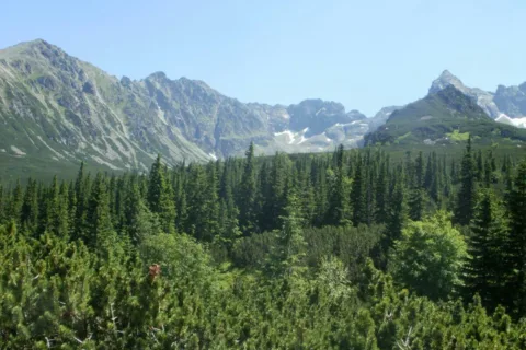Widok z okolic Murowańca na Tatry Wysokie