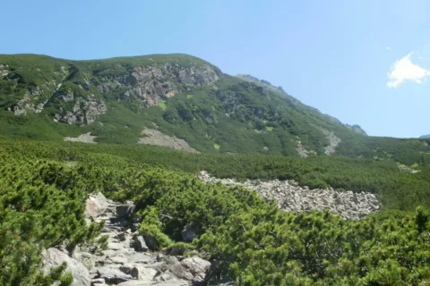 Jeden z grzbietów Żółtej Turni (2087m n.p.m.)
