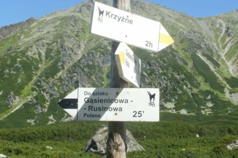 Dolina Pańszczycy
