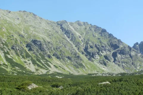 Koszysta i Waksmundzki Wierch