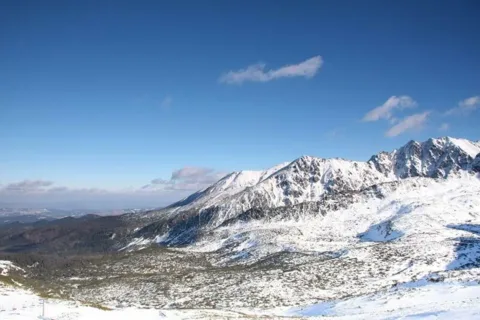 Hala Gąsienicowa