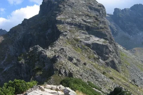 Kościelec