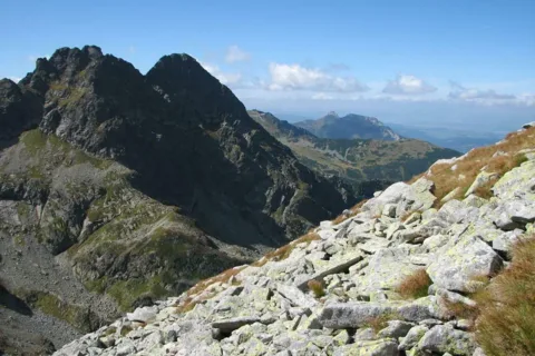 Kościelec