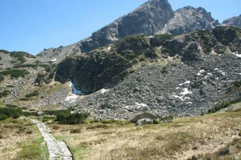 Kościelec