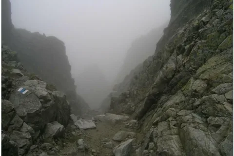 Rohatka