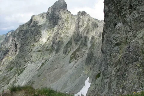 Dzika Turnia