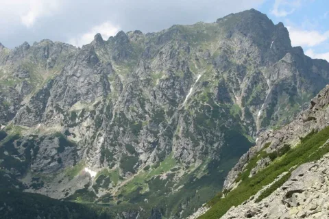 Młynarz