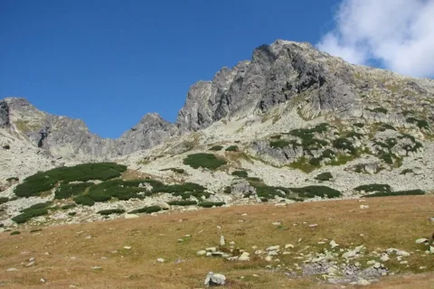 Kozi Wierch