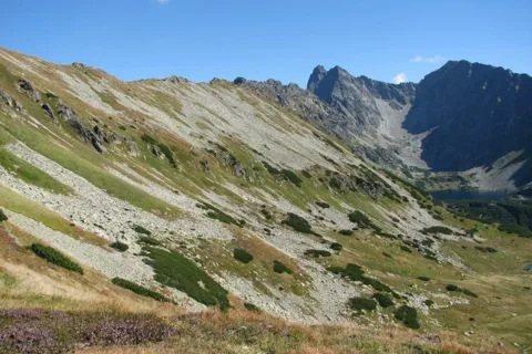 Kotelnica