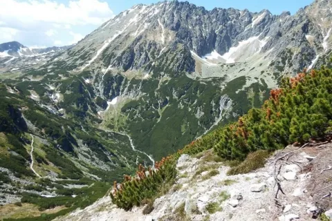 Kozi Wierch