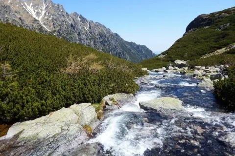 potok Roztoka