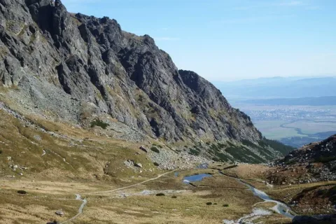 Wielicki Ogród