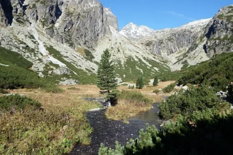 Wielki Łomnicki Ogród