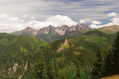 Widok na Tatry z Gęsiej Szyi