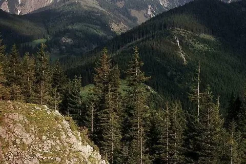 Giewont z Jaworzynki Miętusiej