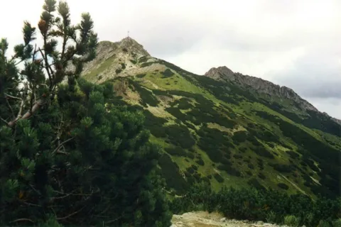 Giewont wyniosły