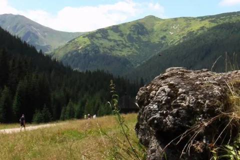 W Dolinie Chochołowskiej (2)