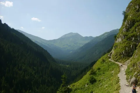 Błyszcz
