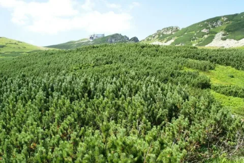 Kasprowy Wierch