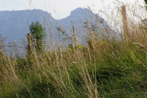 giewont