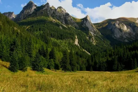 Giewont od strony Małej Łąki