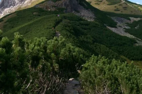 Szlak na Giewont