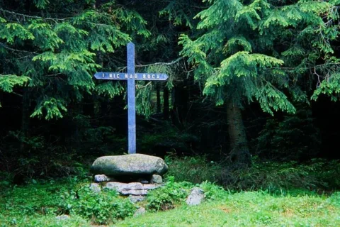 Krzyż Wicentego Pola na Polanie Smytniej