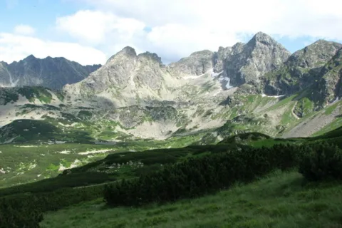 widoczek 2
