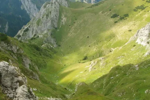 Siodełka