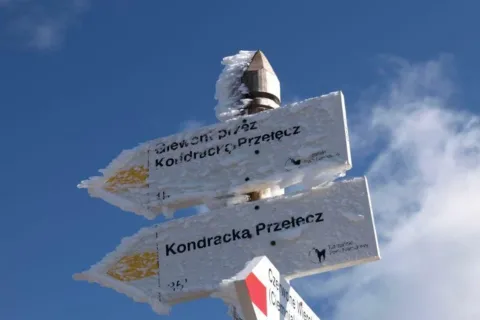 Drogowskaz