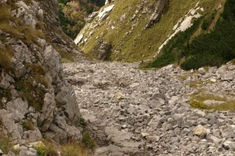 Źleb