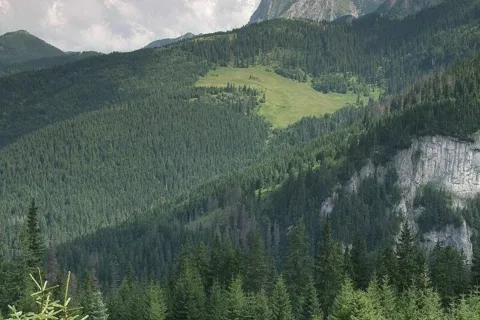 Szałasy i Giewont ze Stołów