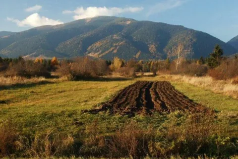 Baranec z Pribyliny
