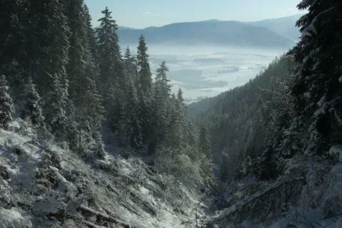 Lucivnik asi 1100 m