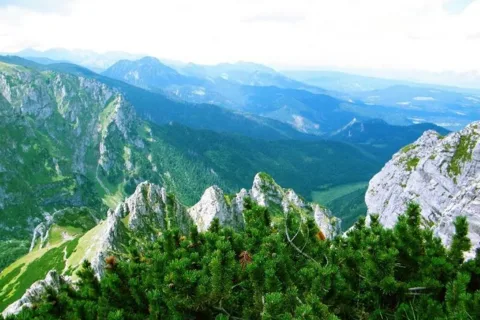 WIDOK NA TATRY ZACHODNIE Z SARNIEJ SKAŁY