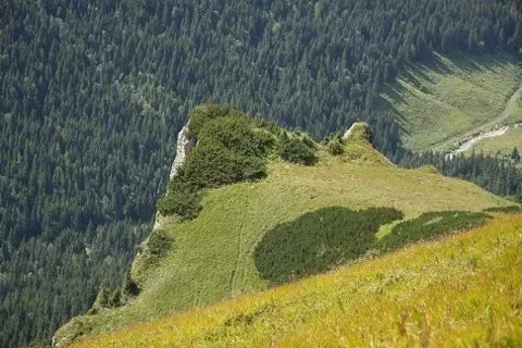 Kasina Turnia