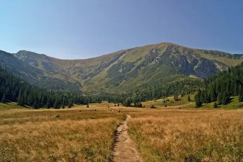 Na Przełęcz pod kondracką kopą