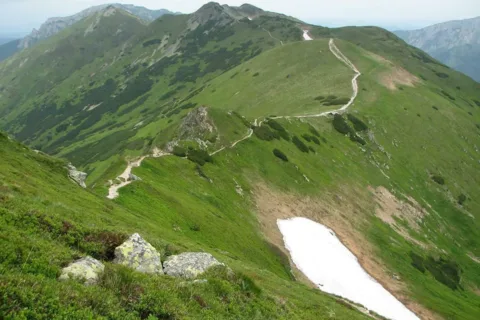 Ornak