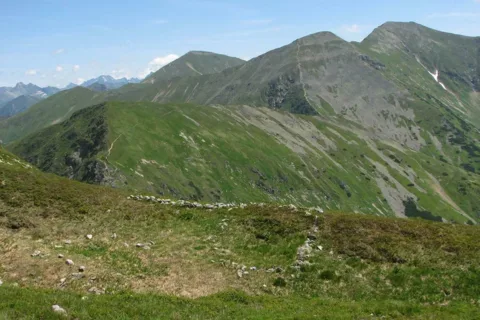 z Wołowca