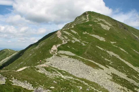 Wołowiec