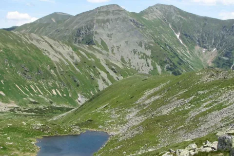 z Wołowca