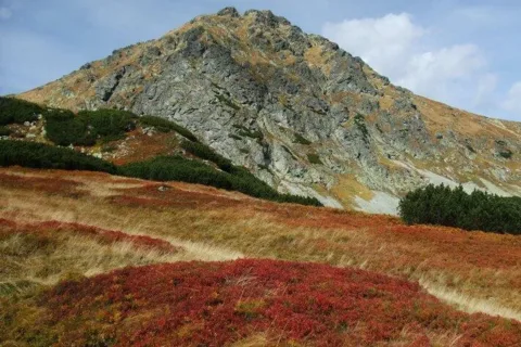Kokavske Zahrady Ostry Rohac J