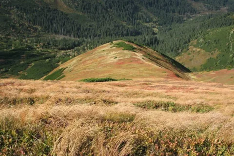 Przykra Kopa