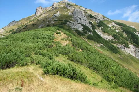 Głazista Turnia
