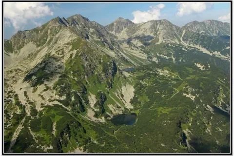 Rohacze