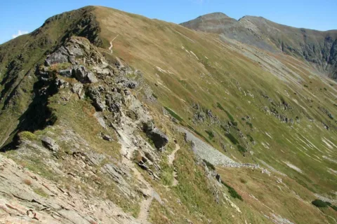 Łopata