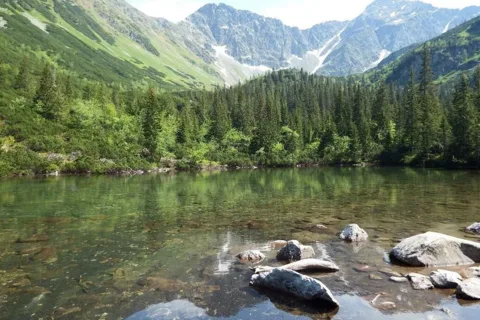 Rohacze