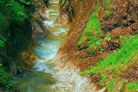 Tatry Zachodnie. W Dolinie Juraniowej