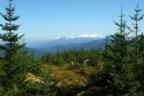 Polskie Tatry Zachodnie zo Skorusiny 1314 m